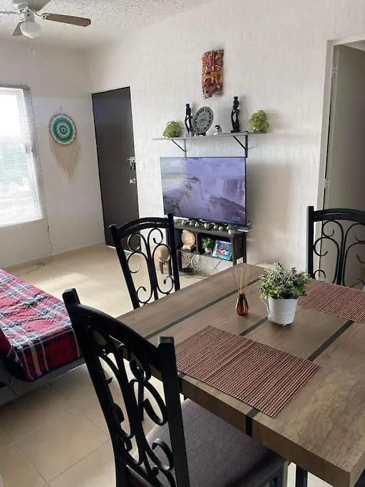 プレヤデルカーメンTropical Flat Next To The Jungleアパートメント アパート